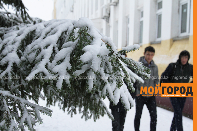 Погода на 29 декабря