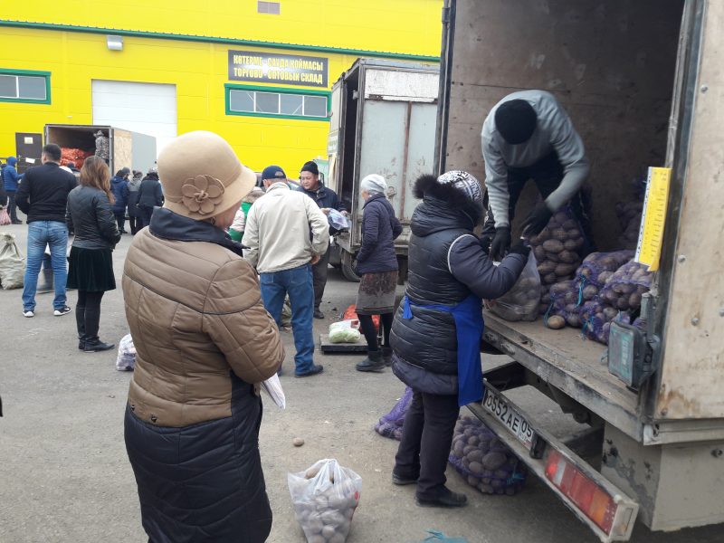 Более тысячи тонн овощей заложили в стабфонд Атырауской области