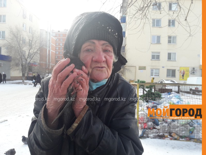 300 голубей кормит ежедневно труженица тыла в Атырау (фото, видео)