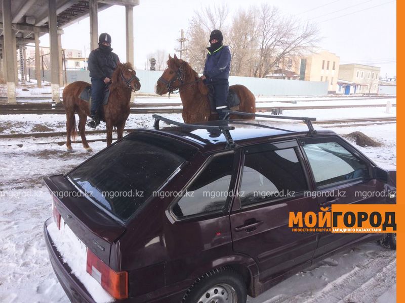 Конный взвод задержал автомобильного вора на месте преступления в Уральске