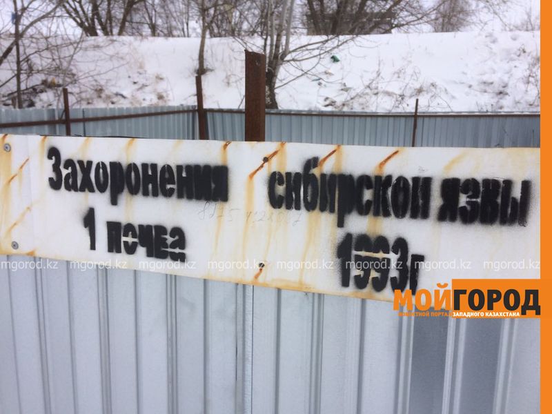 В Уральске захоронение сибирской язвы находится в дачном массиве
