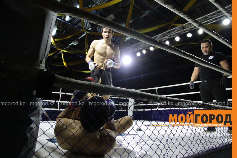 В Атырау пройдет международный чемпионат по ММА