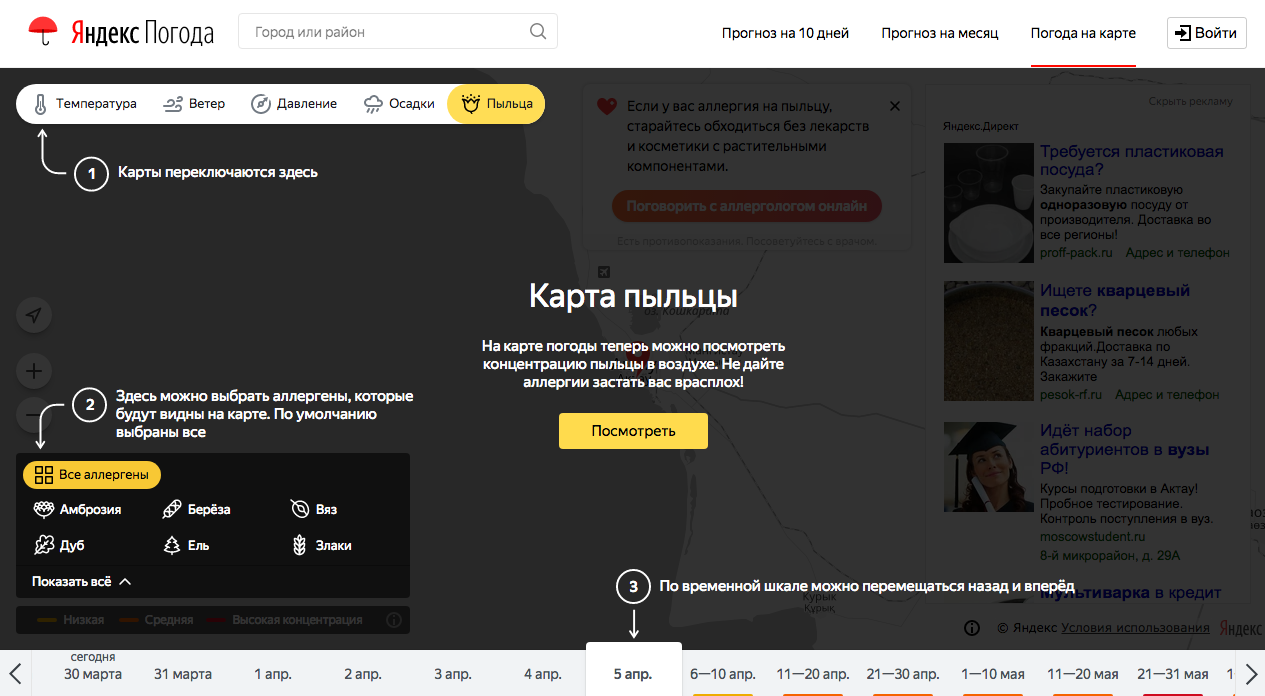 Яндекс запустил карту пыльцы для аллергиков в Казахстане