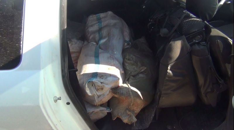 Более 200 кг осетра изъяли полицейские Мангистауской области