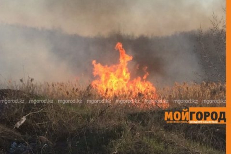 В ДЧС Атырауской области предупредили о начале пожароопасного сезона