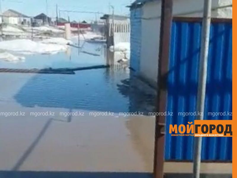 Дом сельчанина в ЗКО подтопило талой водой (видео)