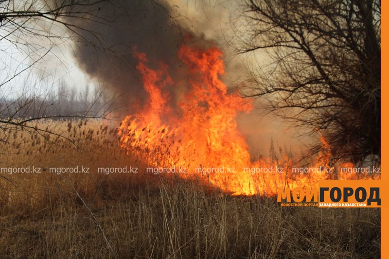 3 тысячи добровольцев готовы тушить пожары в ЗКО
