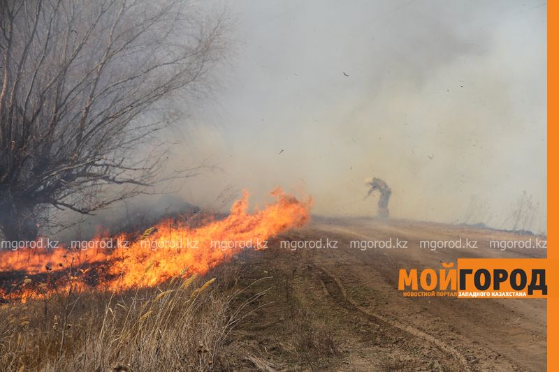 211 пожаров произошло с начала года на территории ЗКО