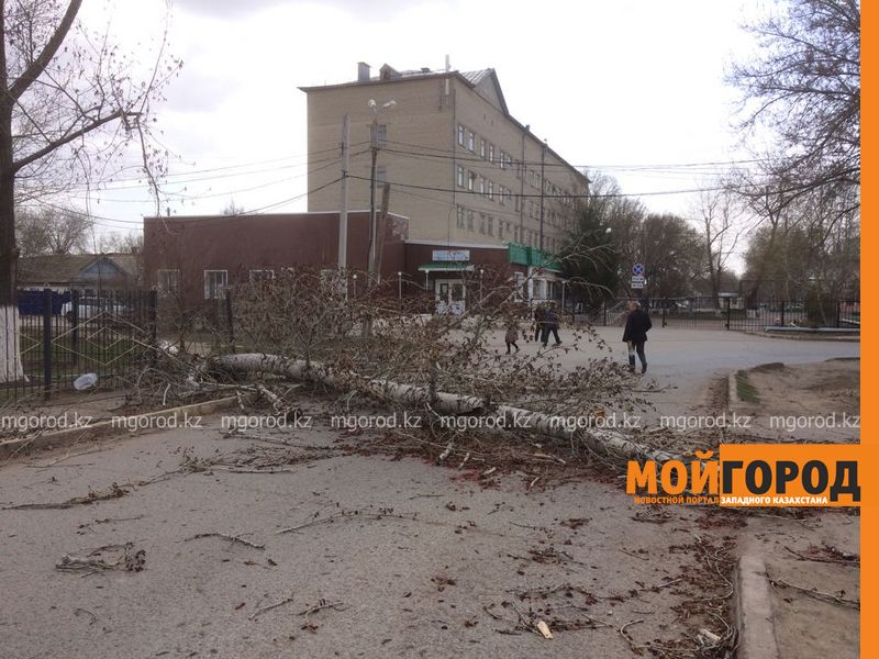 Усиление ветра ожидается в ЗКО