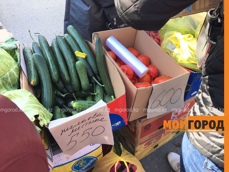 Огурцы из местных теплиц продают на ярмарке в Уральске