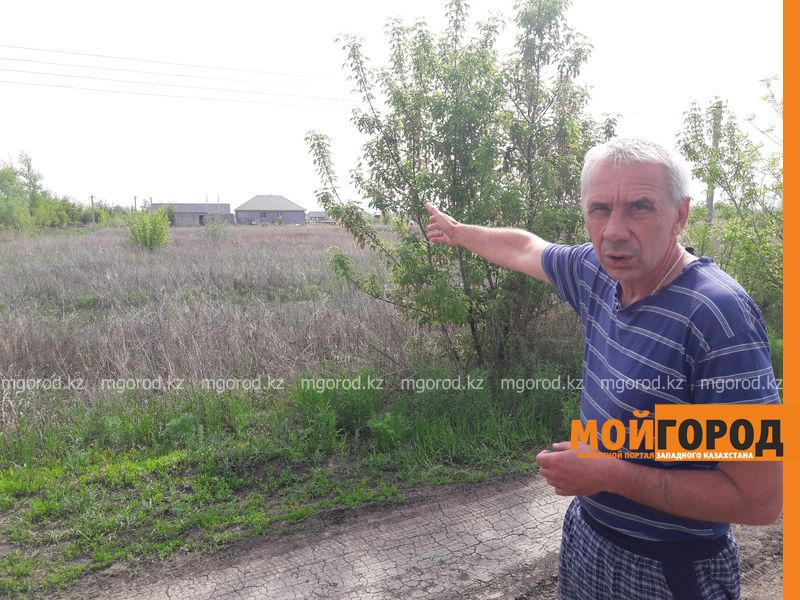 В Уральске пустующие дачные участки не признают бесхозными