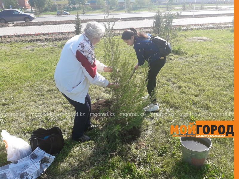 В Уральске ветераны труда высадили более сотни деревьев