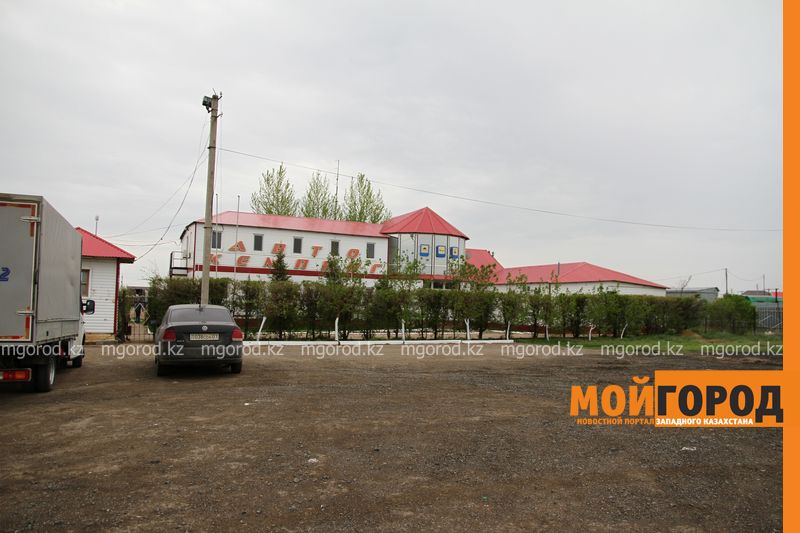 4 млн тенге не могут вернуть жители Уральска, оплатившие поставку леса