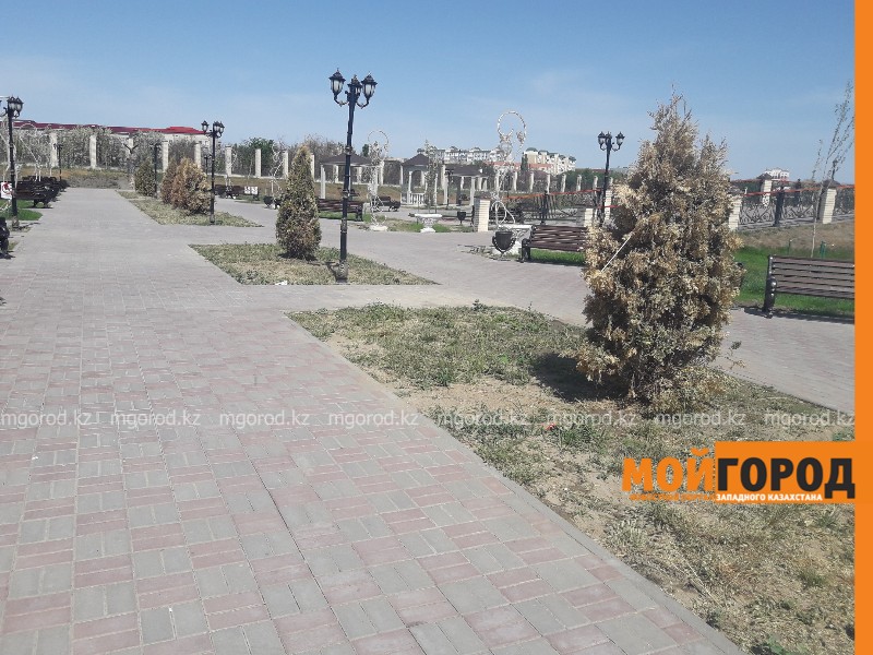 Высохшую зелень объяснили в Ретро-парке Атырау