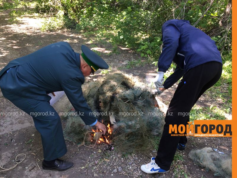 В Уральске рыбинспекторы изъяли 530 килограммов рыбы