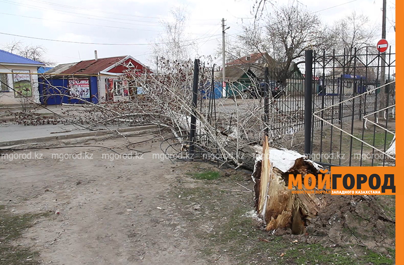 Штормовое предупреждение объявлено в ЗКО
