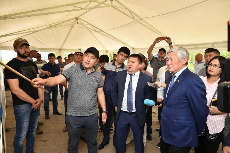 Эффективно использовать земли сельхозназначения призвал аким Актюбинской области
