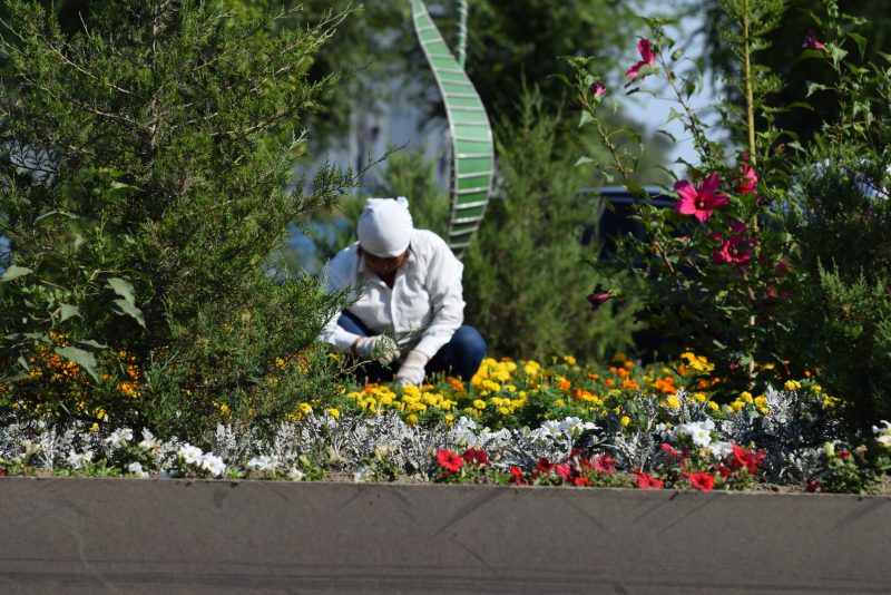 В Атырау 12 тысяч квадратных метров земли засадят экзотическими цветами