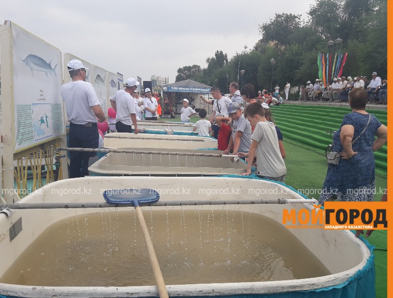 В районе ЗКО откроют рыбную ферму