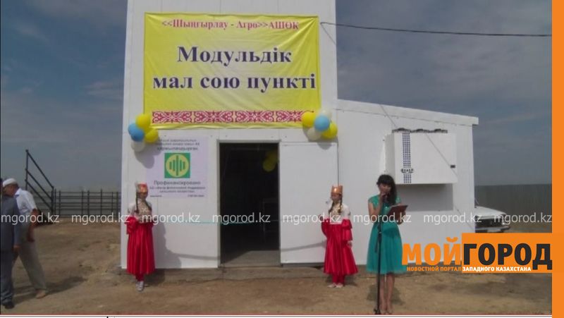 В Шынгырлауском районе ЗКО открылся модульный убойный пункт