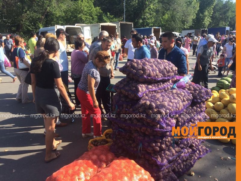 Сельскохозяйственная ярмарка прошла в Уральске
