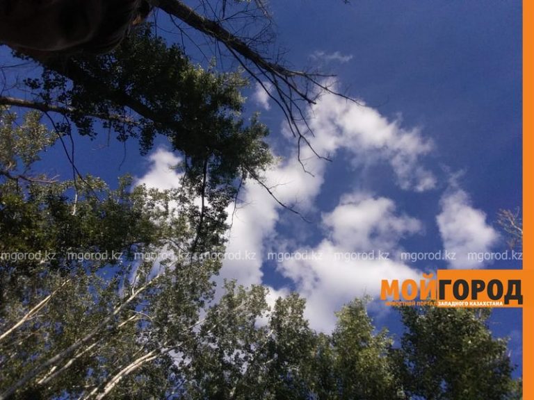 В Атырауской области ожидаются заморозки