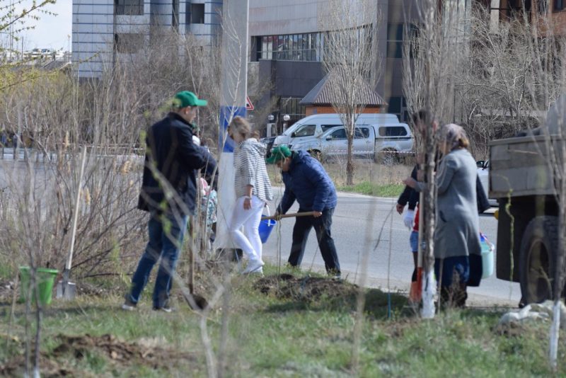 Пять тысяч деревьев высадят у социальных учреждений в Атырау