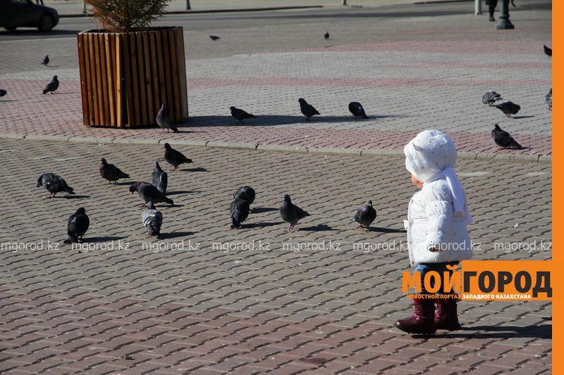 Погода 1 ноября
