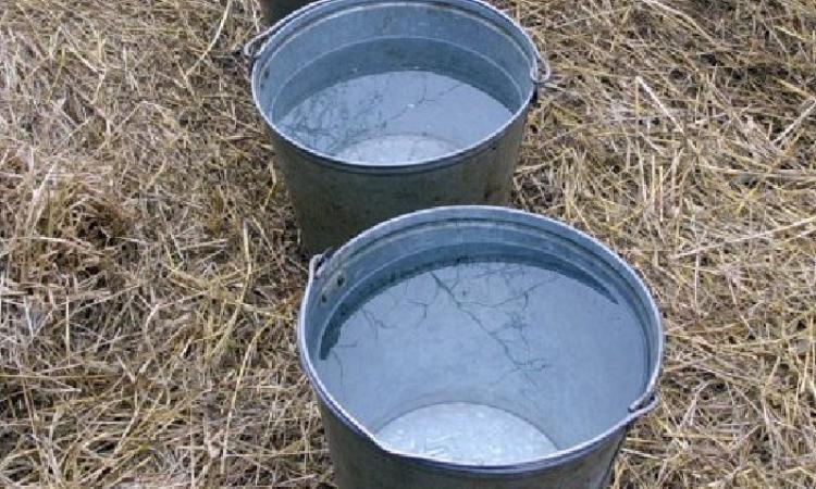 В Атырау в дачный поселок будет проложен водопровод