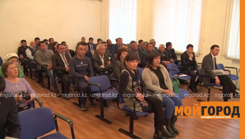 В Шынгырлауском районе ЗКО функционируют 600 ИП