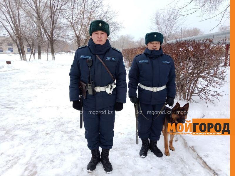 В Уральске служебный пес помог бойцам Нацгвардии обнаружить тайник с наркотиками