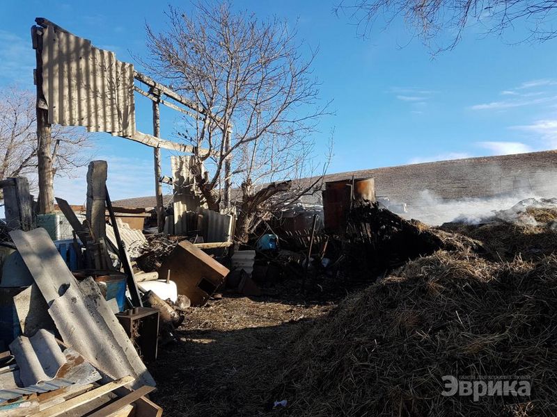 Полицейские задержали «тайных поджигателей», державших в страхе село в Актюбинской области