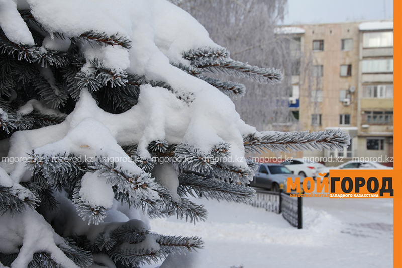 Погода на 21 февраля