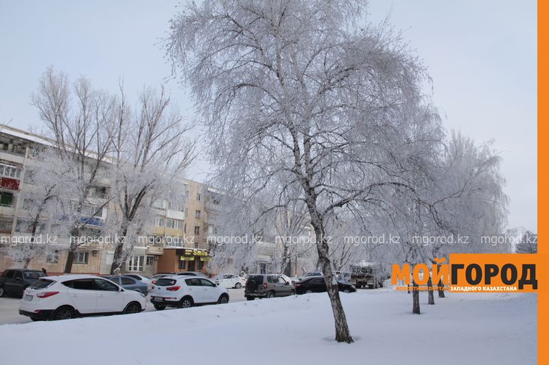 Погода на 13 декабря