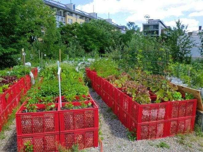 Удивительное рядом. Особенная мебель для дома или дачи