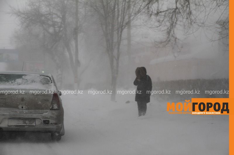 На ЗКО обрушилась сильная метель (фото)
