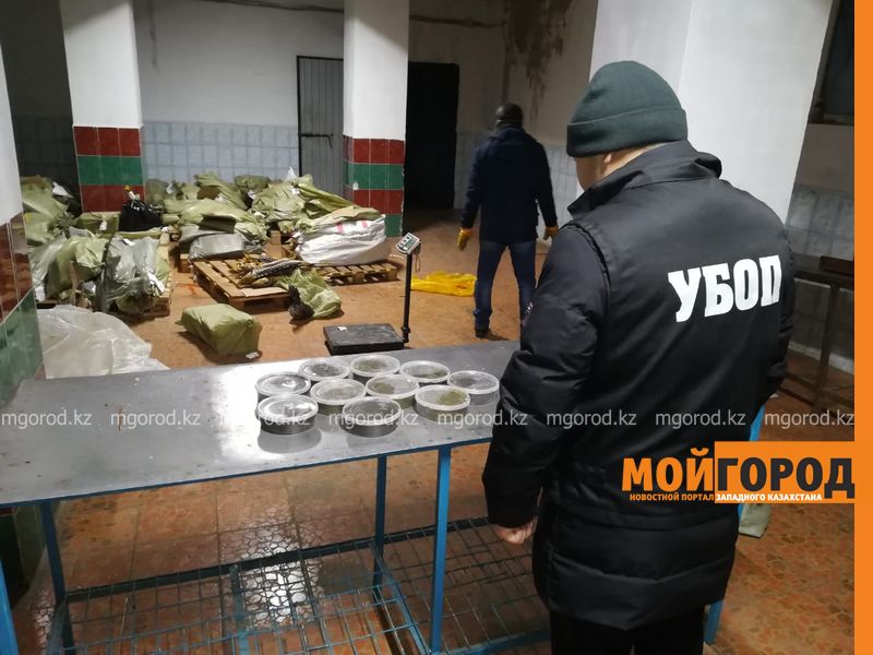 Две тонны осетра и 113 килограммов икры изъяли полицейские (фото)