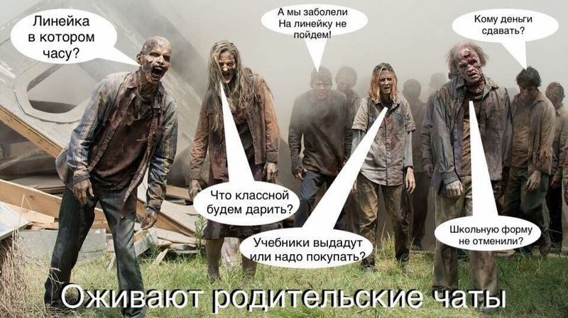 Тупые картинки и безграмотные сообщения. Что бесит участников родительских чатов
