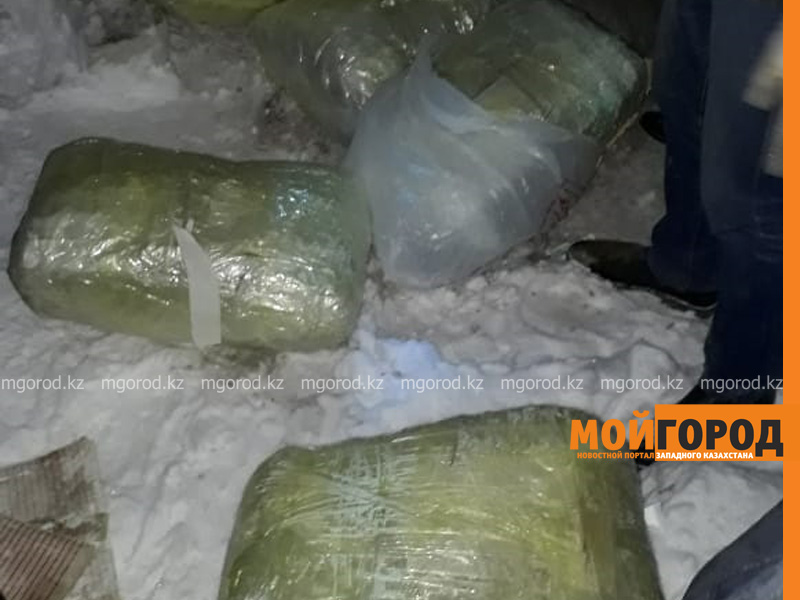 66 кг наркотиков за три месяца изъяли полицейские ЗКО