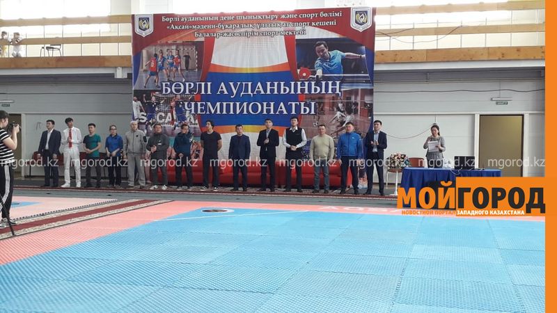 В Аксае прошел открытый районный турнир по таэквондо