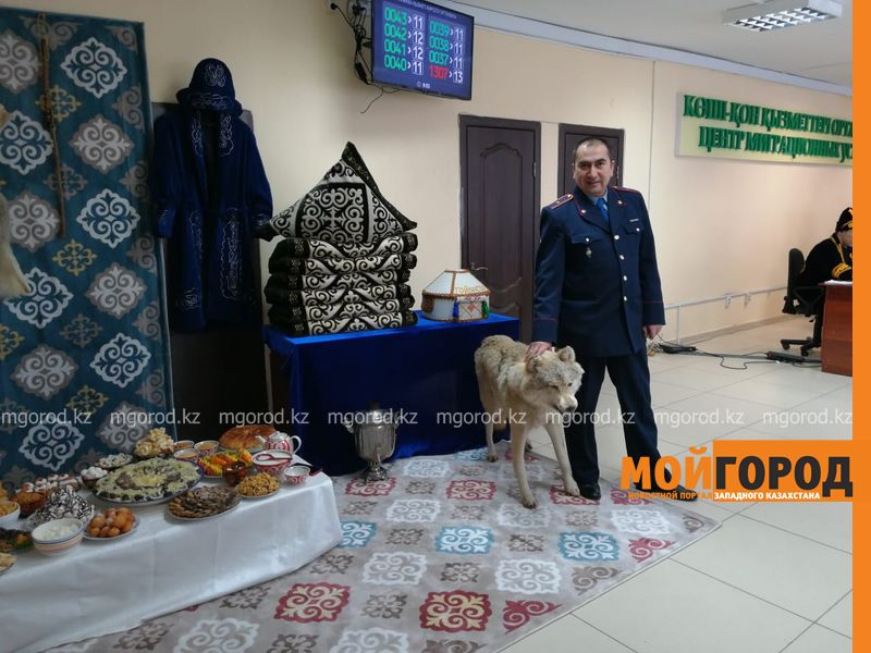 В центре миграционных услуг департамента полиции ЗКО посетителей угощали «Наурыз-коже» и бауырсаками