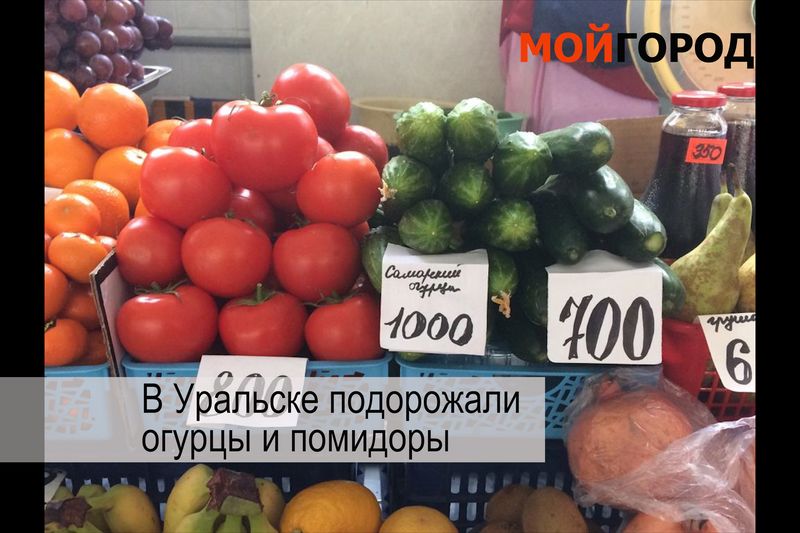Видеообзор новостей ЗКО за неделю