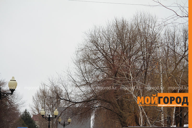 Погода на 20 марта