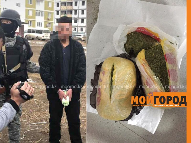 Семь килограммов марихуаны изъяли у жителей Атырау