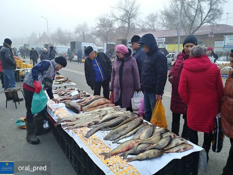 Оралда екінші ауылшаруашылығы өнімдерінің жәрмеңкесі өтті