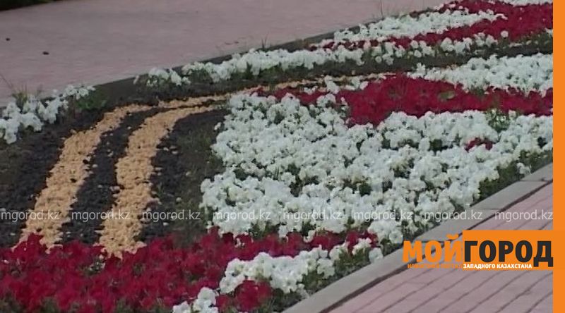 Оралда биыл жылдағыдан 2 есеге көп гүл егіледі