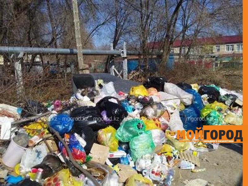 В Аксае ищут компанию для вывоза мусора
