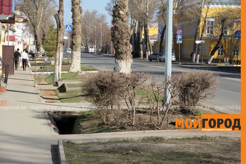 Погода на 4 ноября