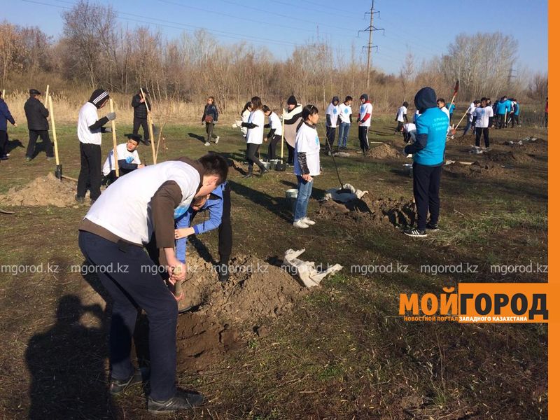 В Уральке прошла посадка деревьев