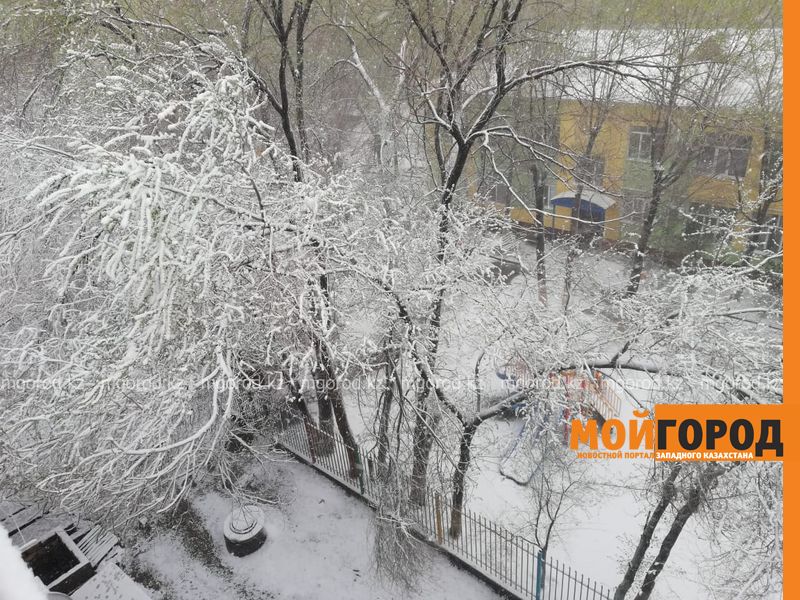 Погода на 1 февраля